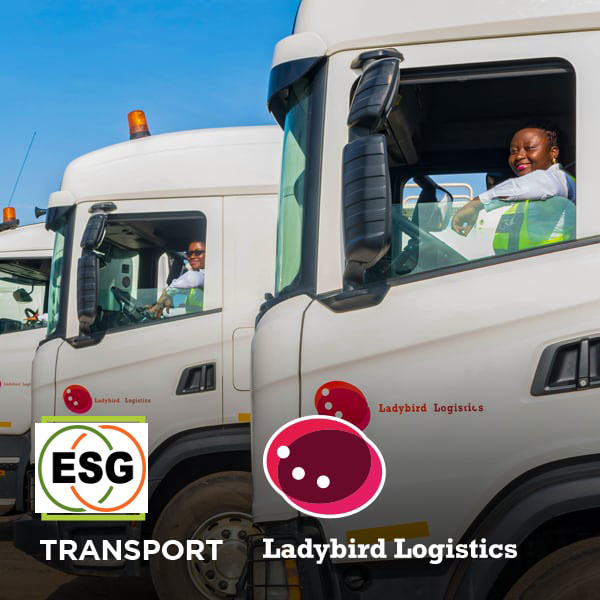 Transportation & Logistics
